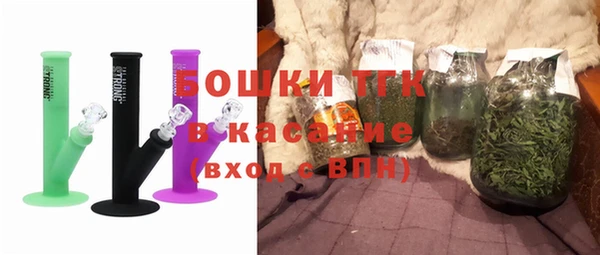 гидра Гусев