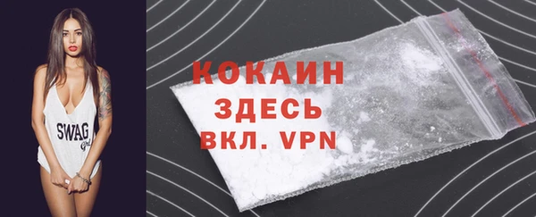 гидра Гусев