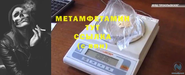 гидра Гусев