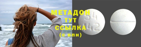 гидра Гусев
