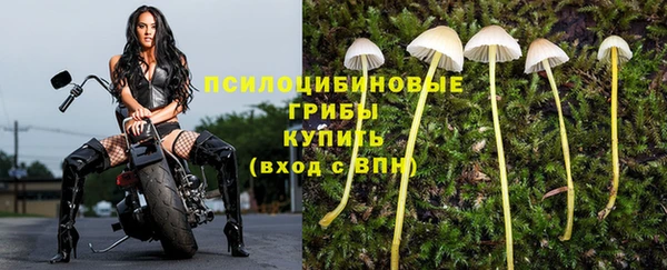 гидра Гусев