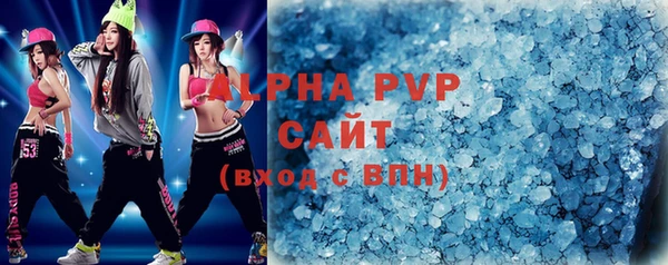 гидра Гусев