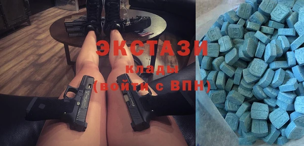 гидра Гусев