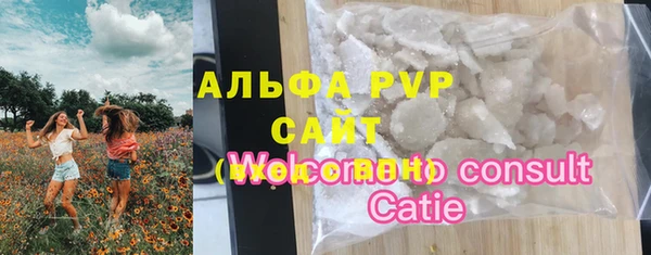 гидра Гусев