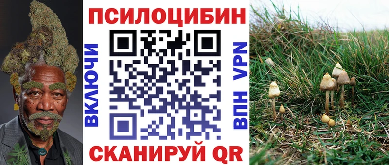 Псилоцибиновые грибы мицелий Дно