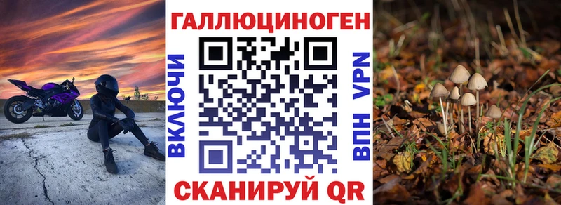 Галлюциногенные грибы мухоморы  что такое   Дно 